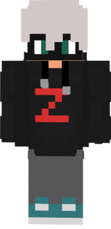 skin de minecraft