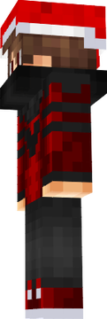 ss