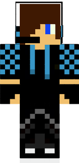 skin