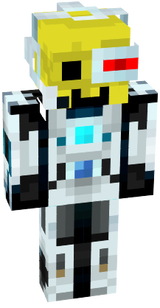 skin