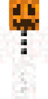 skin 1 