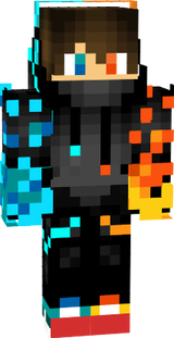 skin