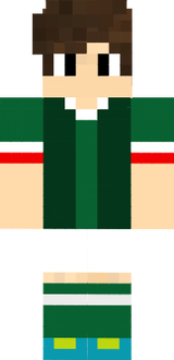 Firetoons Palmeirense