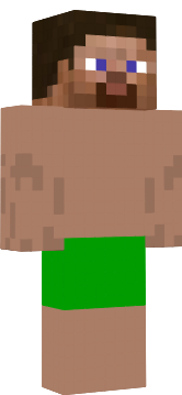 Preview of texture: steve