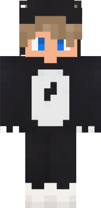 Preview of texture: sd