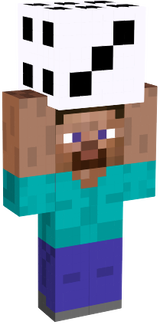 steve
