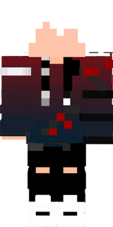 skin 1