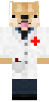 doctor doge