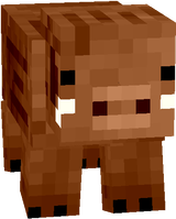 boar
