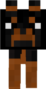 cachorro
