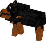 My dog name lucy