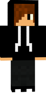 bajs
