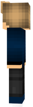 ervin