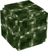 Rockbud1