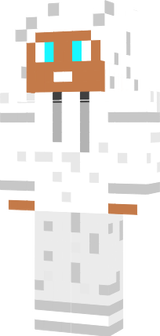 dimsheep656