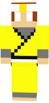 Super Ninja Gulde