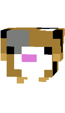 Preview of texture: guinea pig