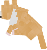 Cute dog