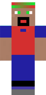 skinamsdeid