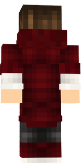 skin.mp5.minecraft