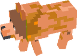 Chuck Norris