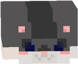 Hamster :3