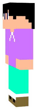 マイクラスキン