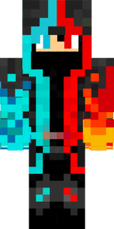 skin