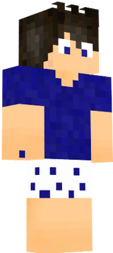 gui 13