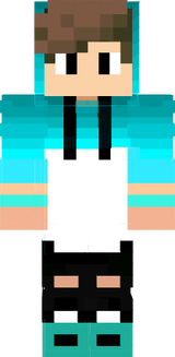 Skin minecraft