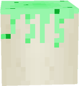 Bone block