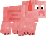 pig