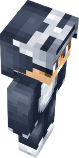 Stenuxx