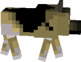 German Shepard