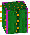Cacto