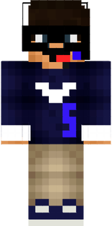 SaccTails14