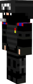 SWAT 3