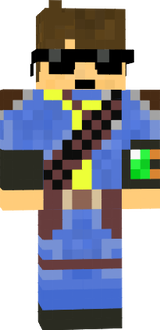 My Fallout Skin