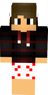 GamerLR