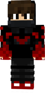 skinn2