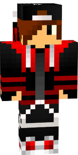 mc skins