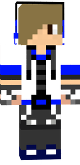 BadChip