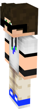 Stil PRO 2
