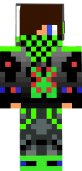 skin