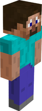 steve
