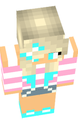 Mine craft skinn