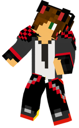 skin\