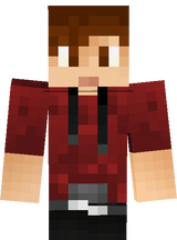 The Man With Brown Hair