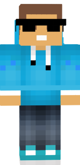 Sunecek10