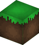 Grass